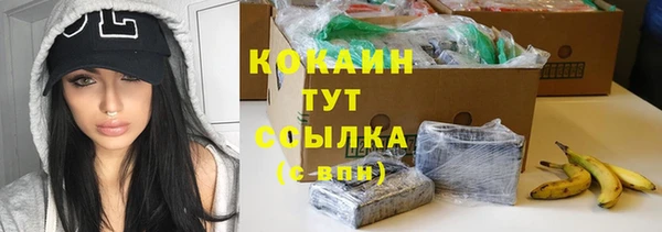 альфа пвп Билибино