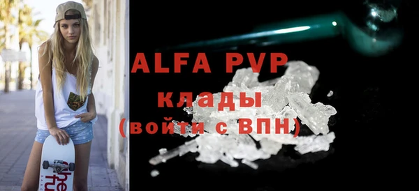 индика Бикин