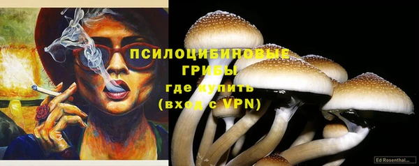 прущая мука Нея