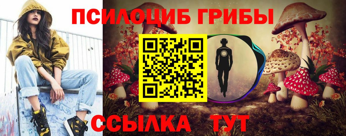 Псилоцибиновые грибы мицелий Печора